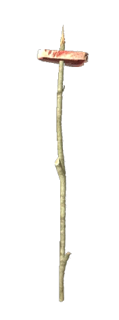 Food on Stick (Steak)