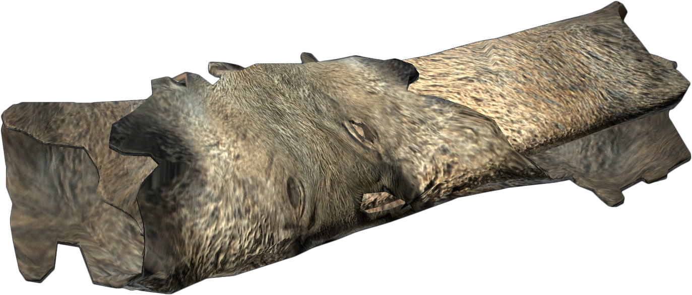Wild Boar Pelt