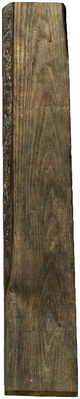 Plank (x4)