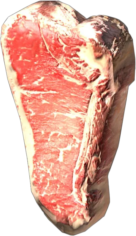 Bear Steak