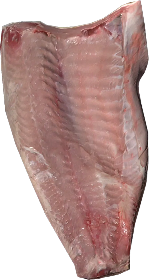 Carp Fillet