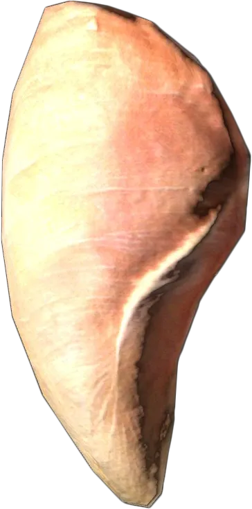 Chicken Steak