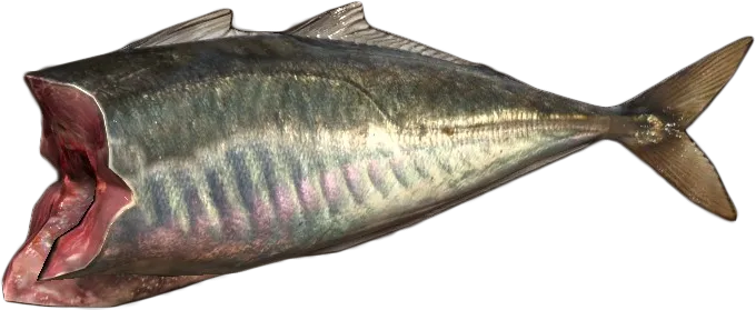 Mackerel Fillet