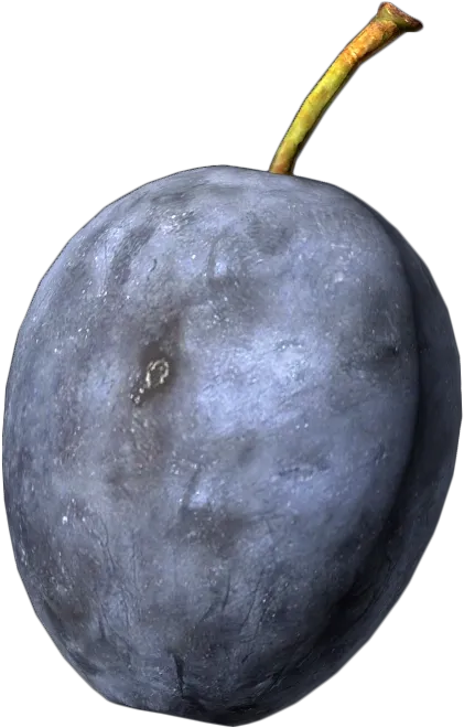 Plum