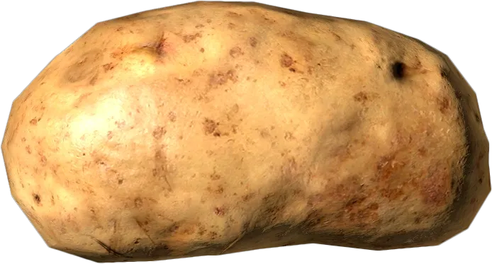 Potato