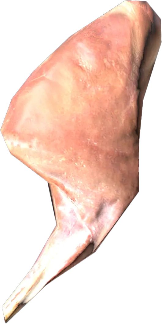 Rabbit Leg