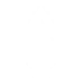Full blood icon