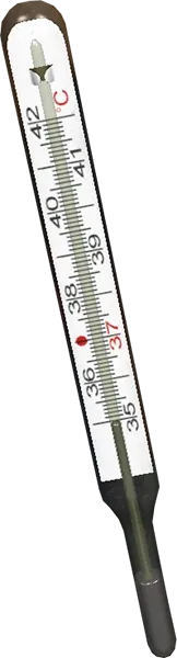 Thermometer